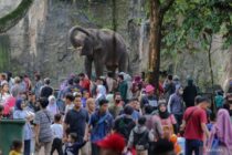 Sejarah singkat Taman Margasatwa Ragunan